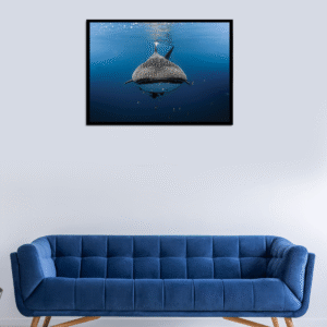 Prints for the Ocean