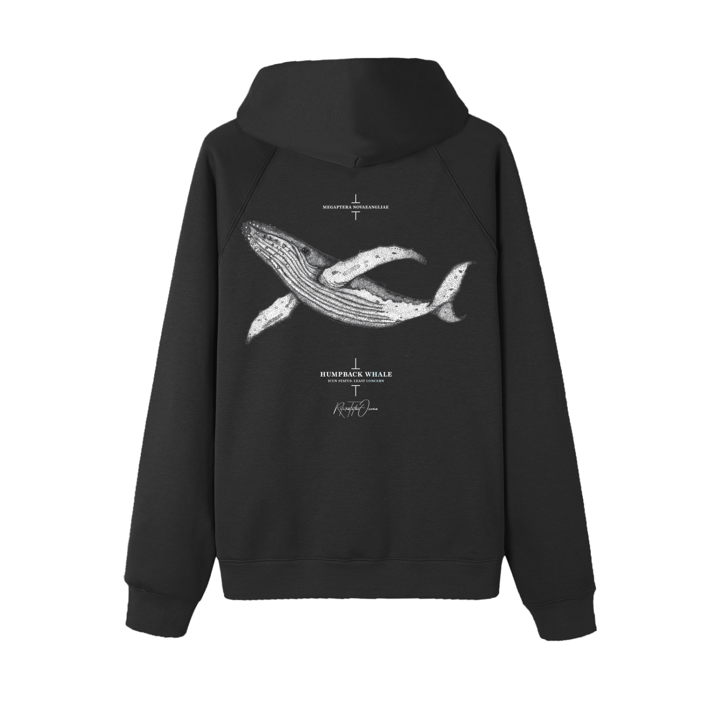 Humpback Whale Premium Hoodie - Image 2