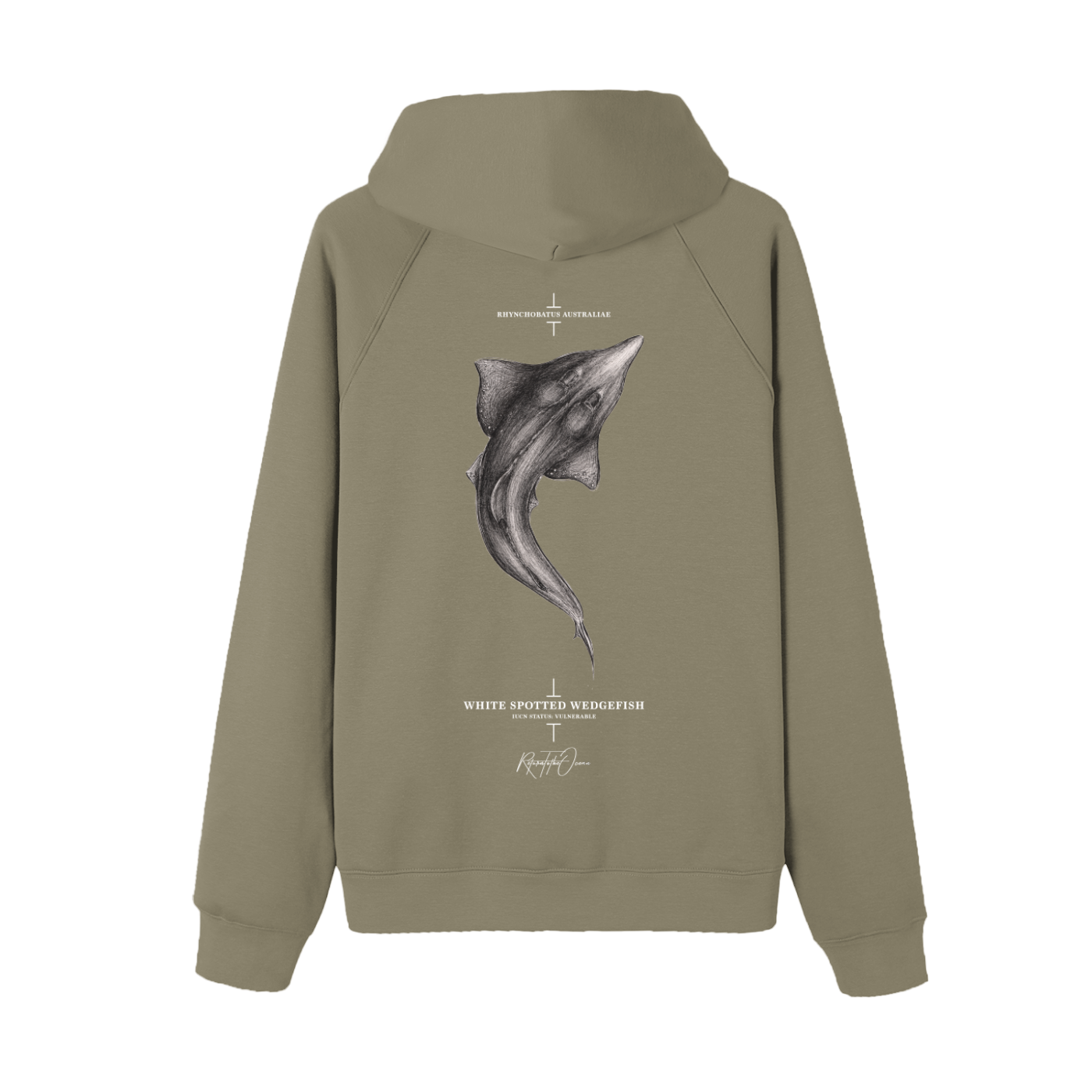 Whitespotted Wedgefish  Premium Hoodie - Image 6