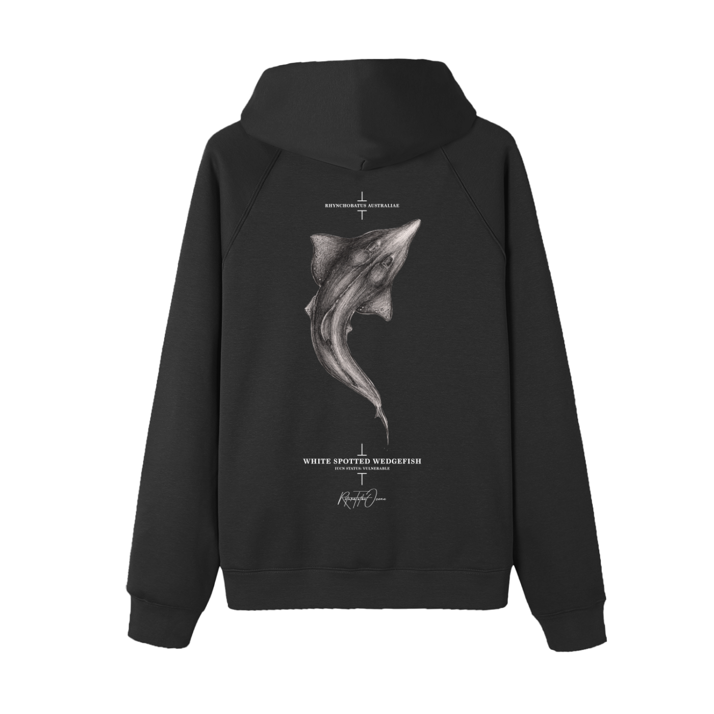 Whitespotted Wedgefish  Premium Hoodie - Image 4