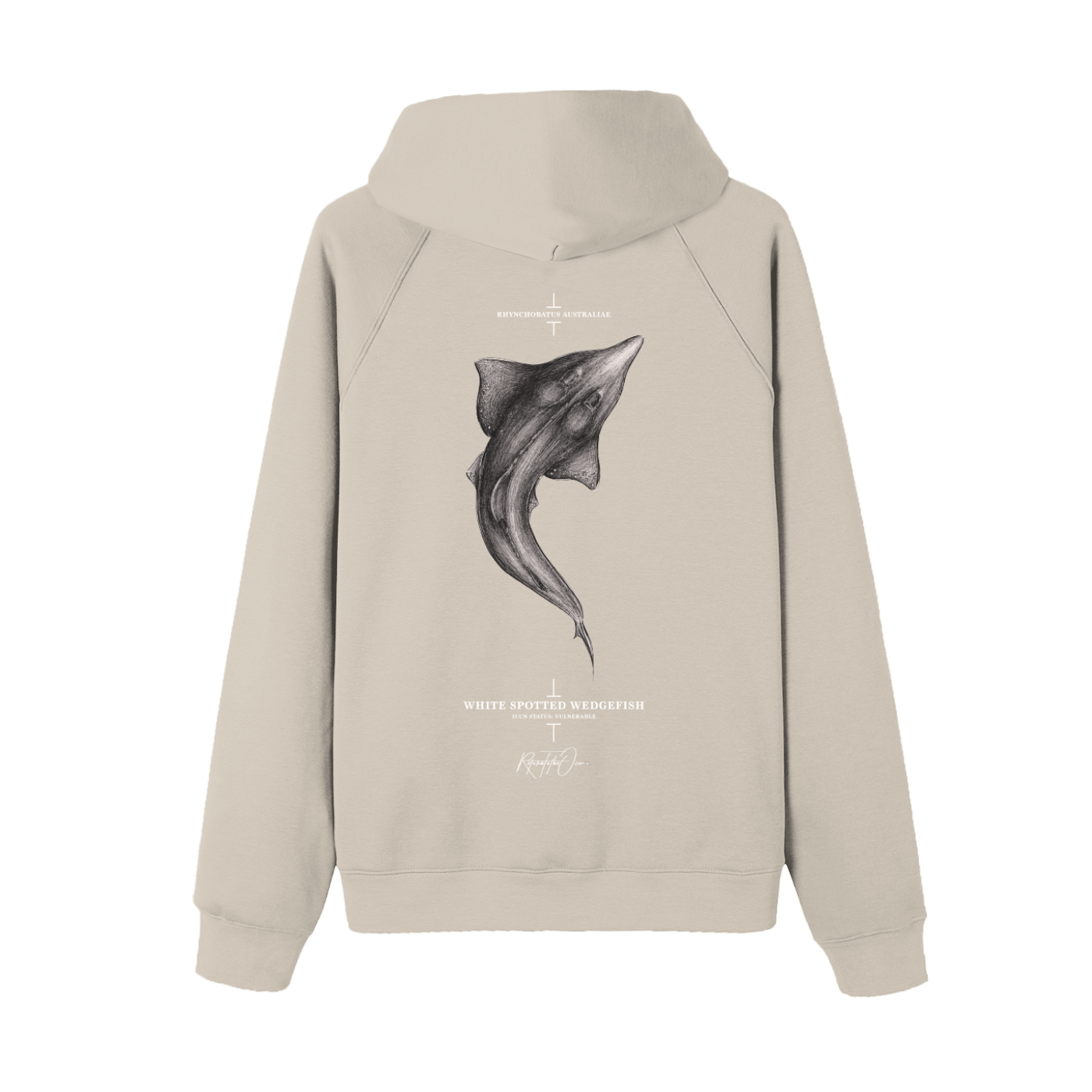 Whitespotted Wedgefish  Premium Hoodie - Image 2