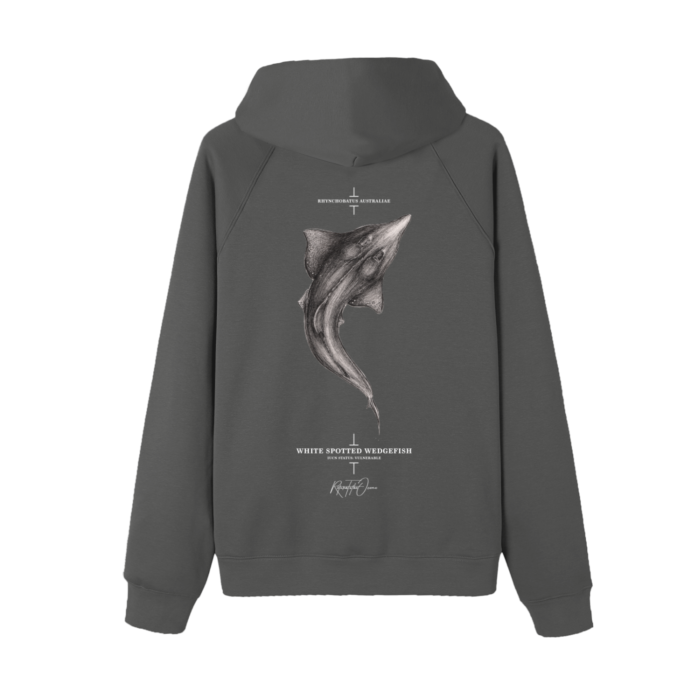 Whitespotted Wedgefish  Premium Hoodie - Image 8
