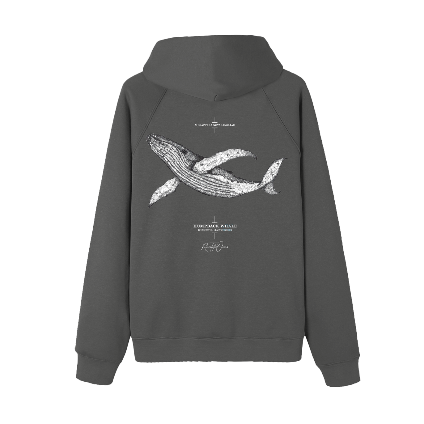 Humpback Whale Premium Hoodie - Image 8