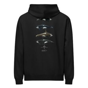 Orca Box Hoodie
