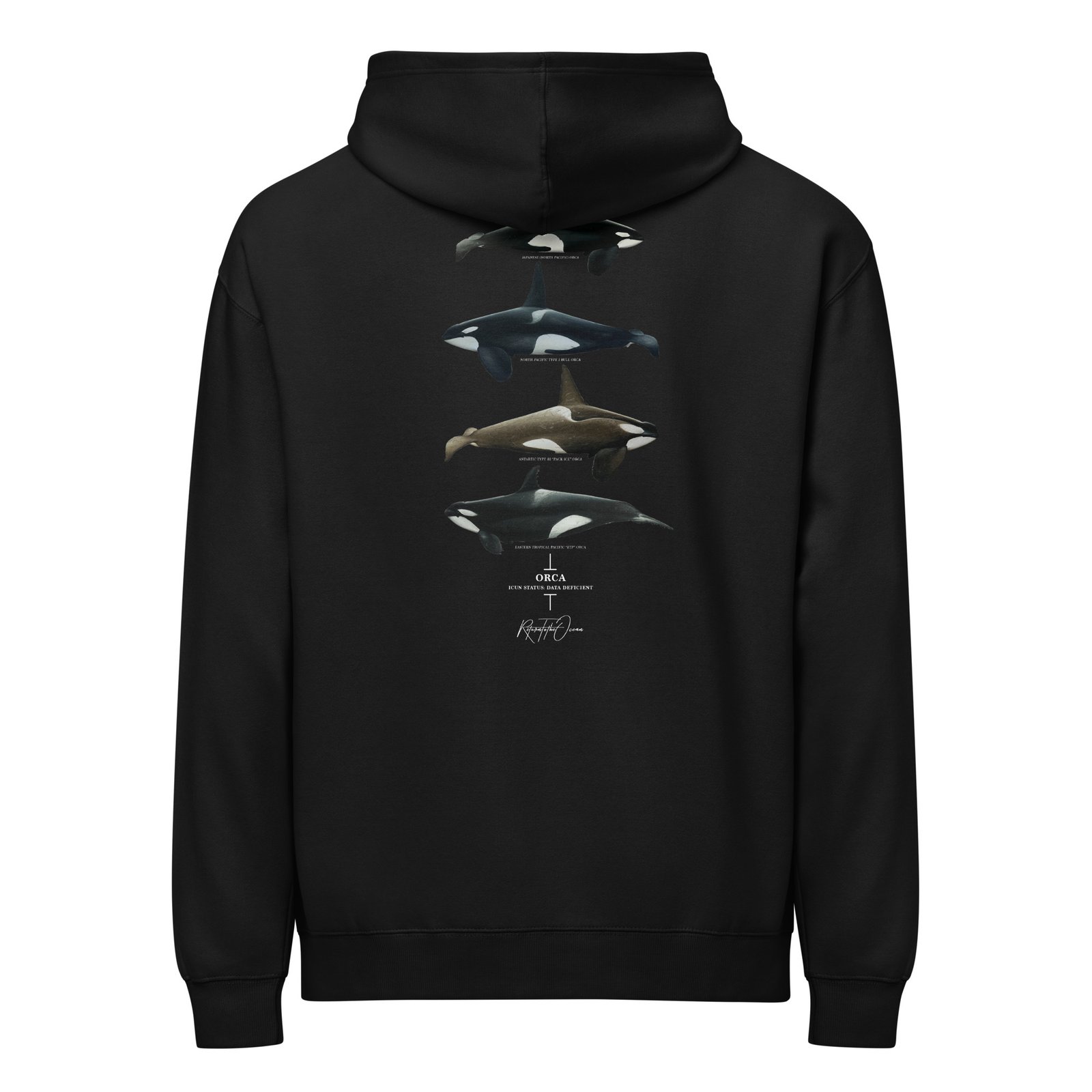 Orca Box Hoodie