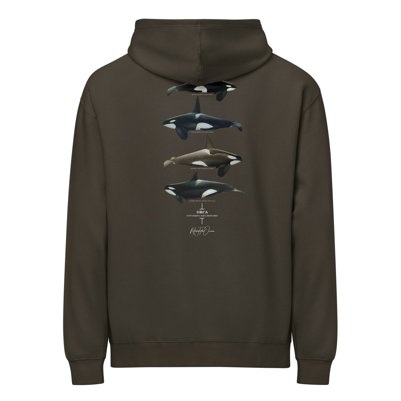 Orca Box Hoodie - Image 4