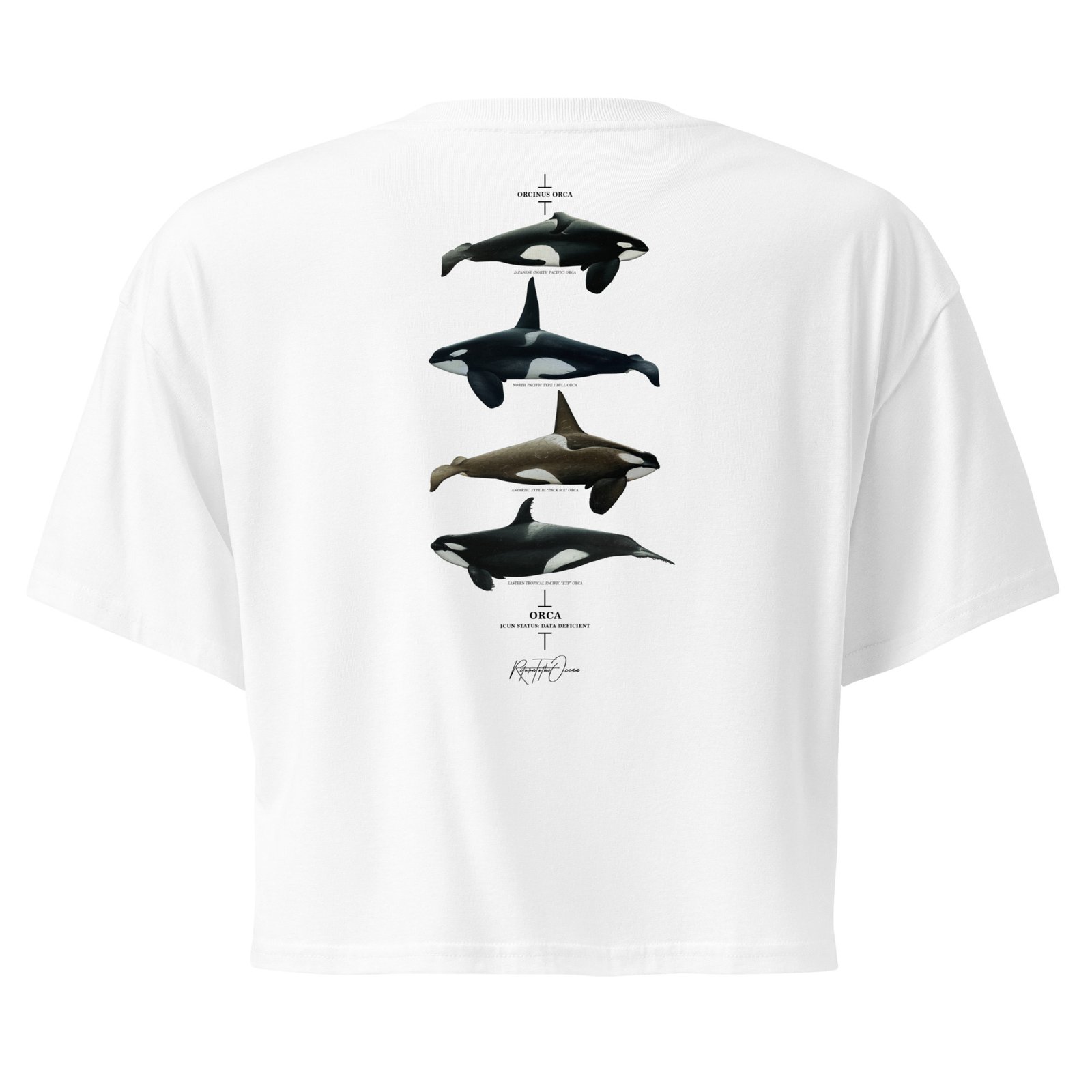 Orca Women’s crop top
