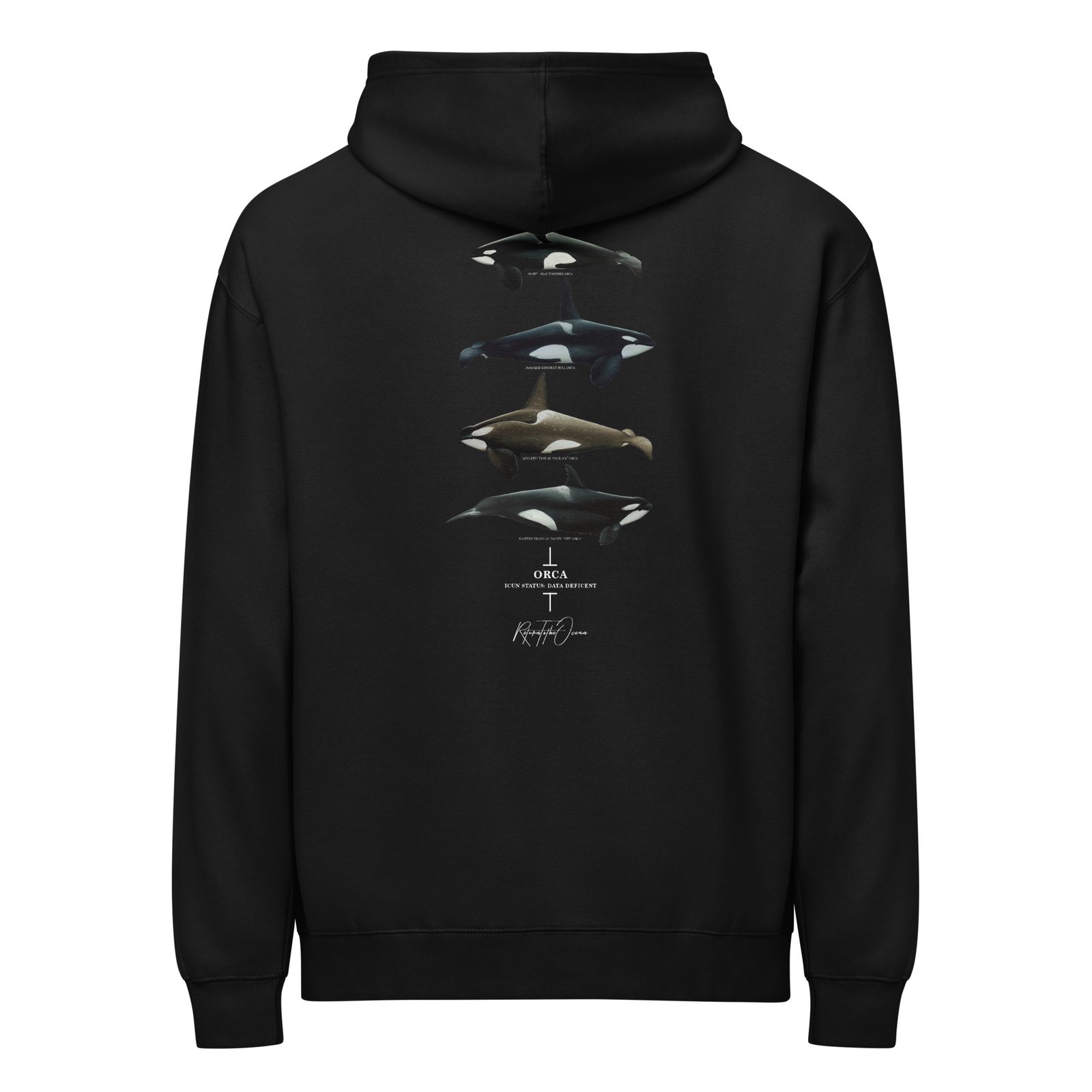 Orca Box Hoodie - Image 4