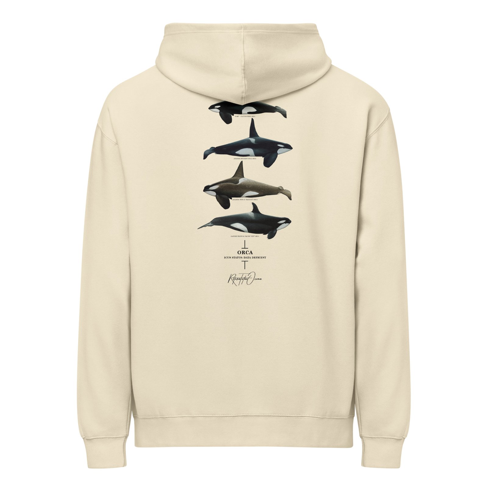 Orca Box Hoodie - Image 7