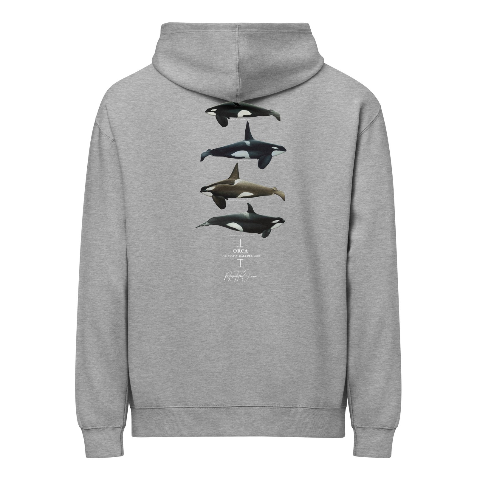 Orca Box Hoodie - Image 6