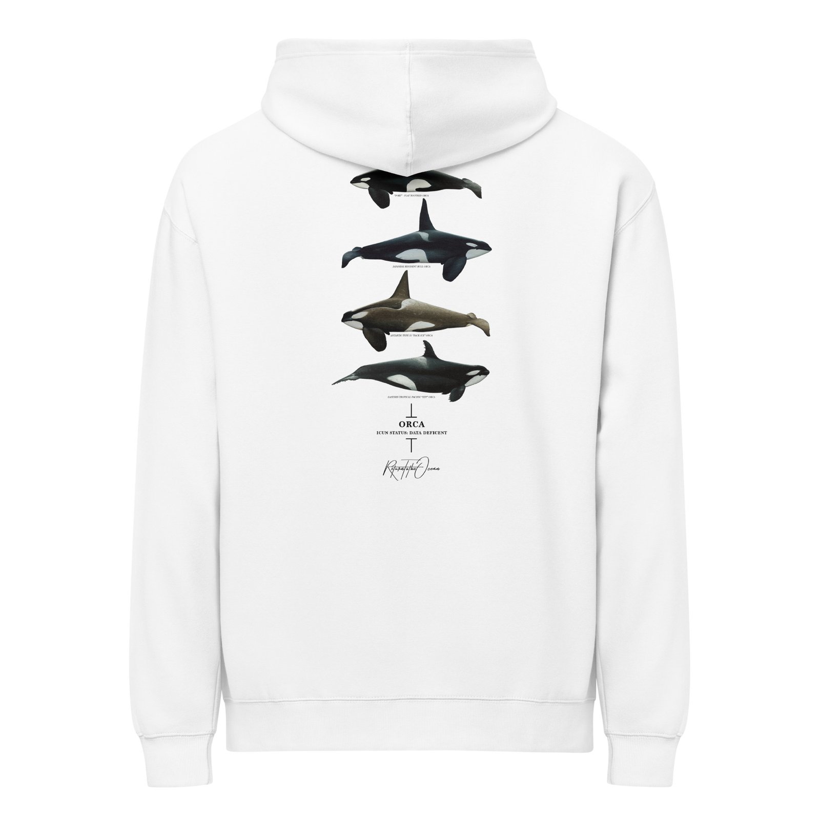 Orca Box Hoodie - Image 10