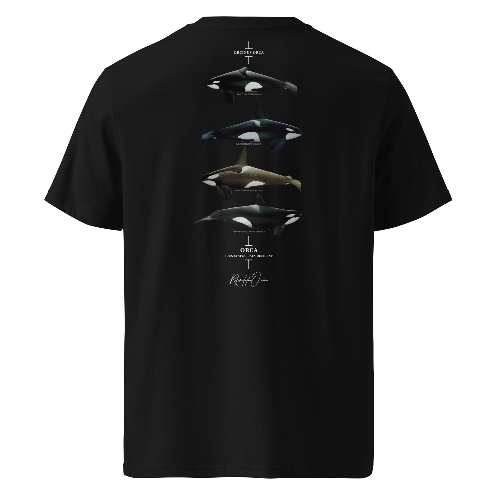 Orca Premium organic cotton t-shirt - Image 5