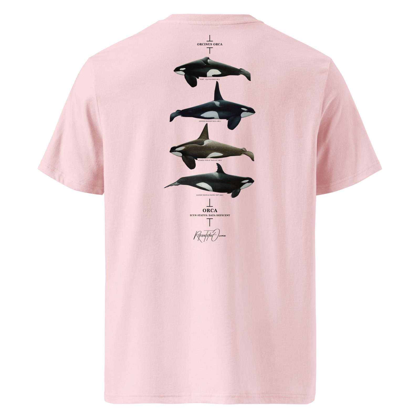 Orca Premium organic cotton t-shirt - Image 13