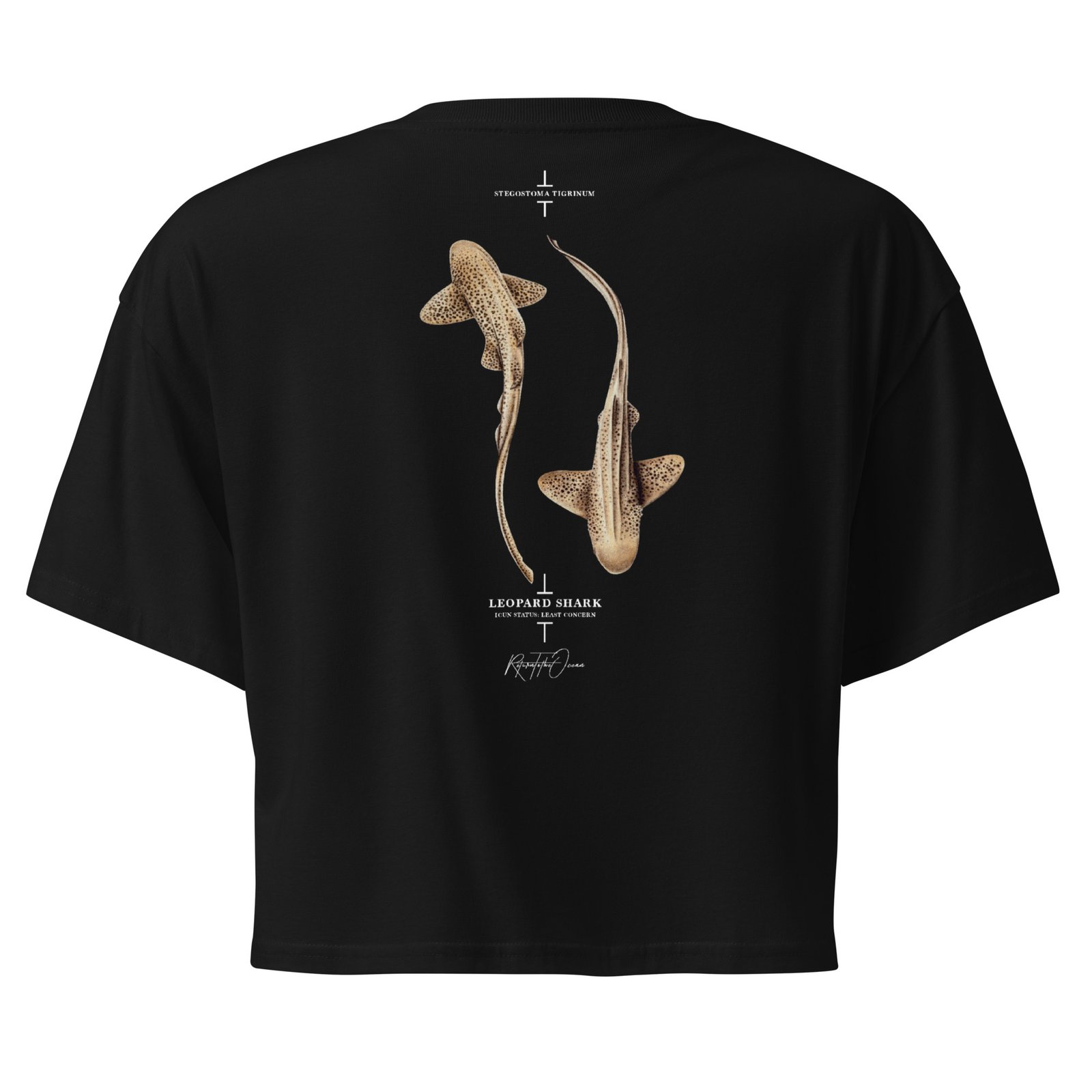 Leopard Shark Crop Top - Image 3