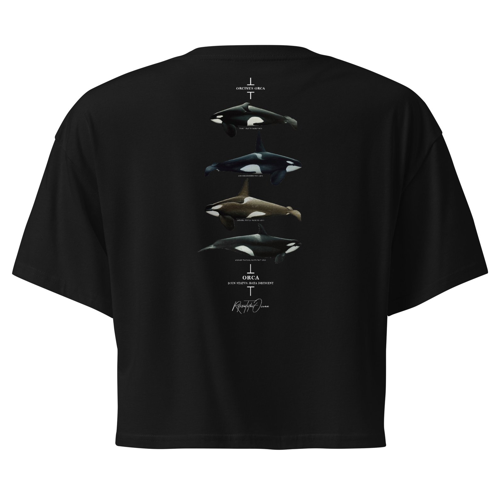 Orca Women’s crop top - Image 5