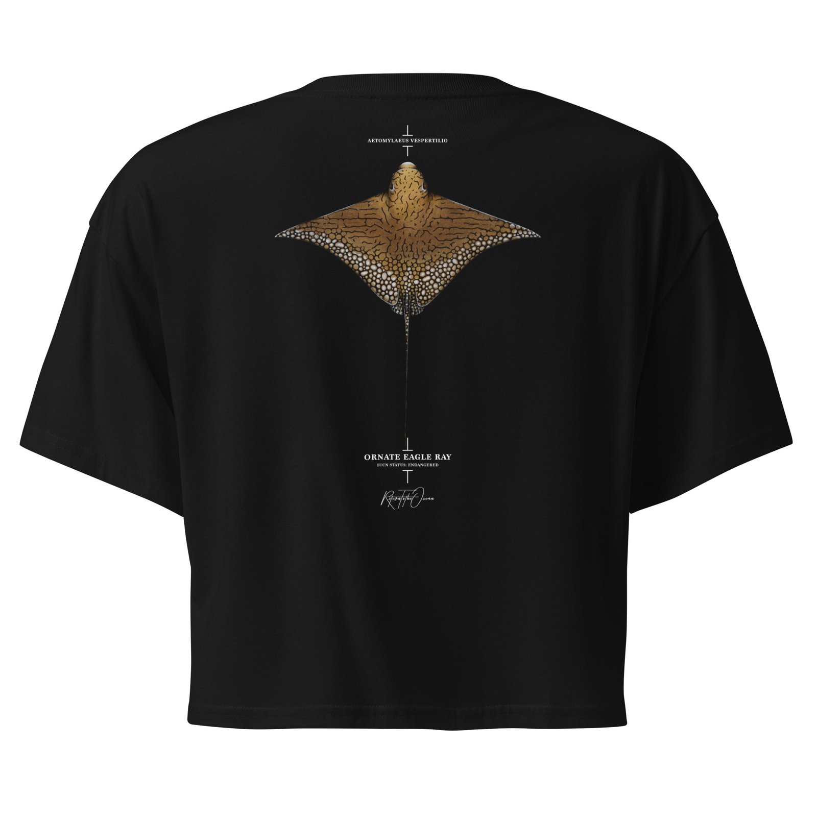 Ornate Eagle Ray Women’s crop top - Image 4