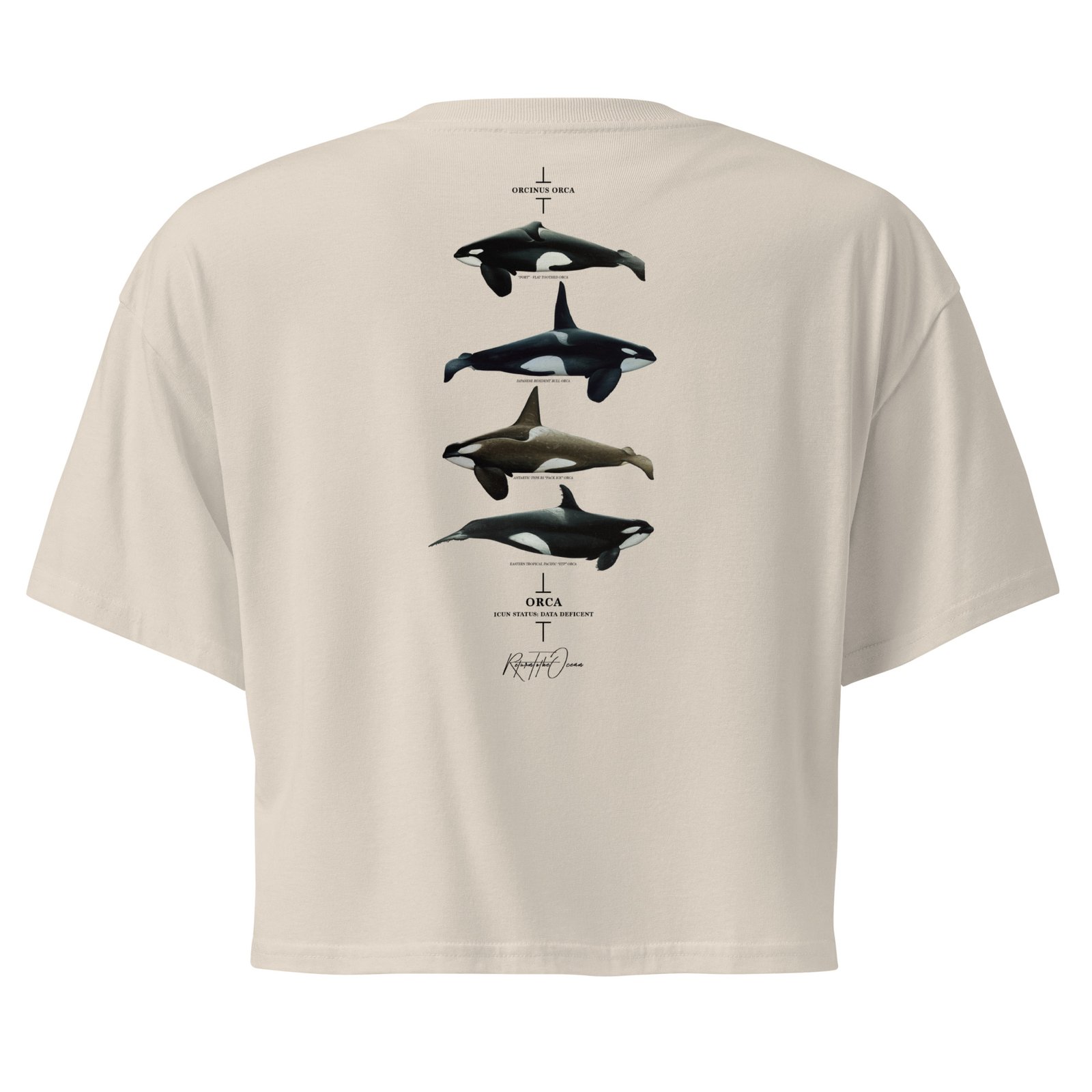 Orca Women’s crop top - Image 9