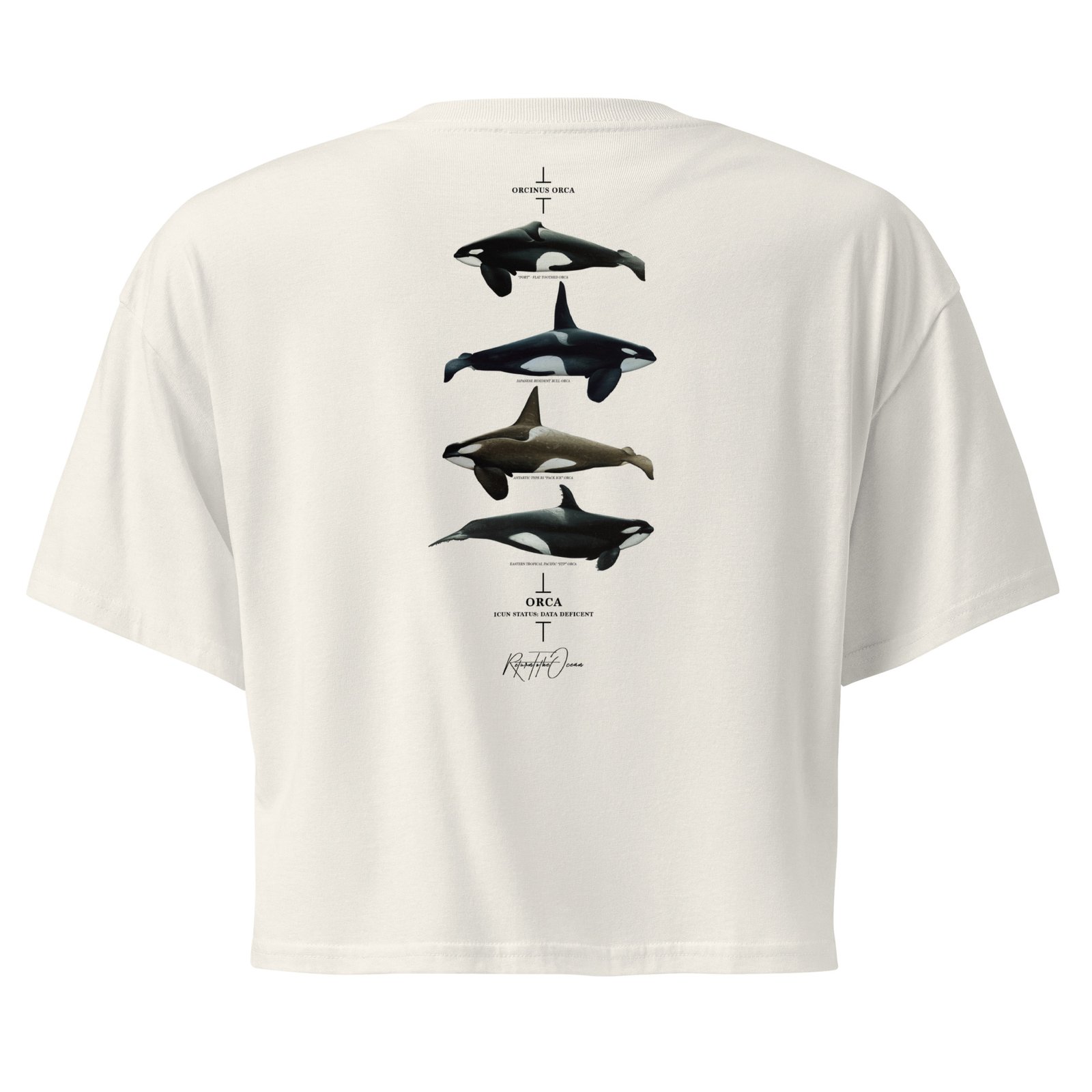 Orca Women’s crop top - Image 11