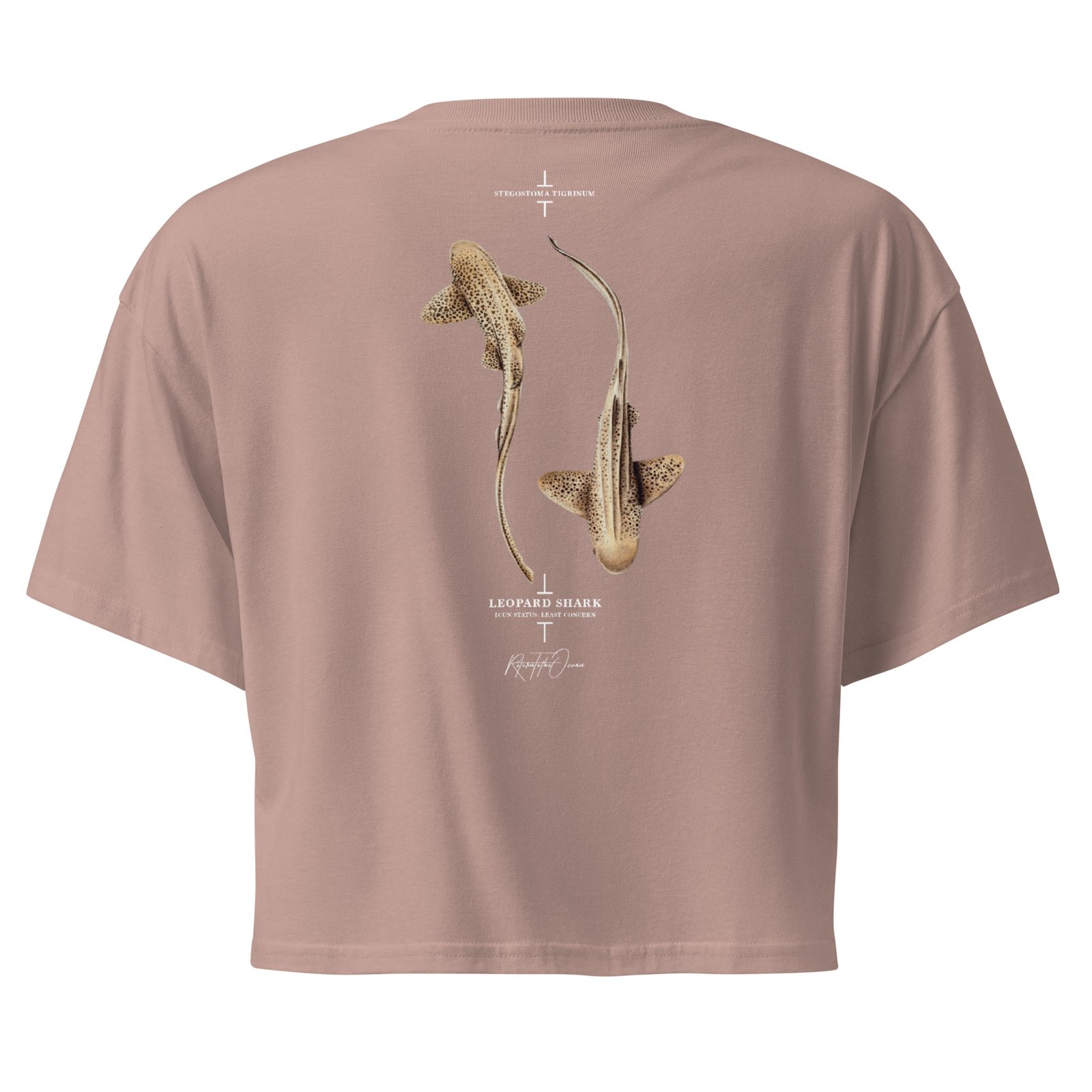 Leopard Shark Crop Top - Image 5