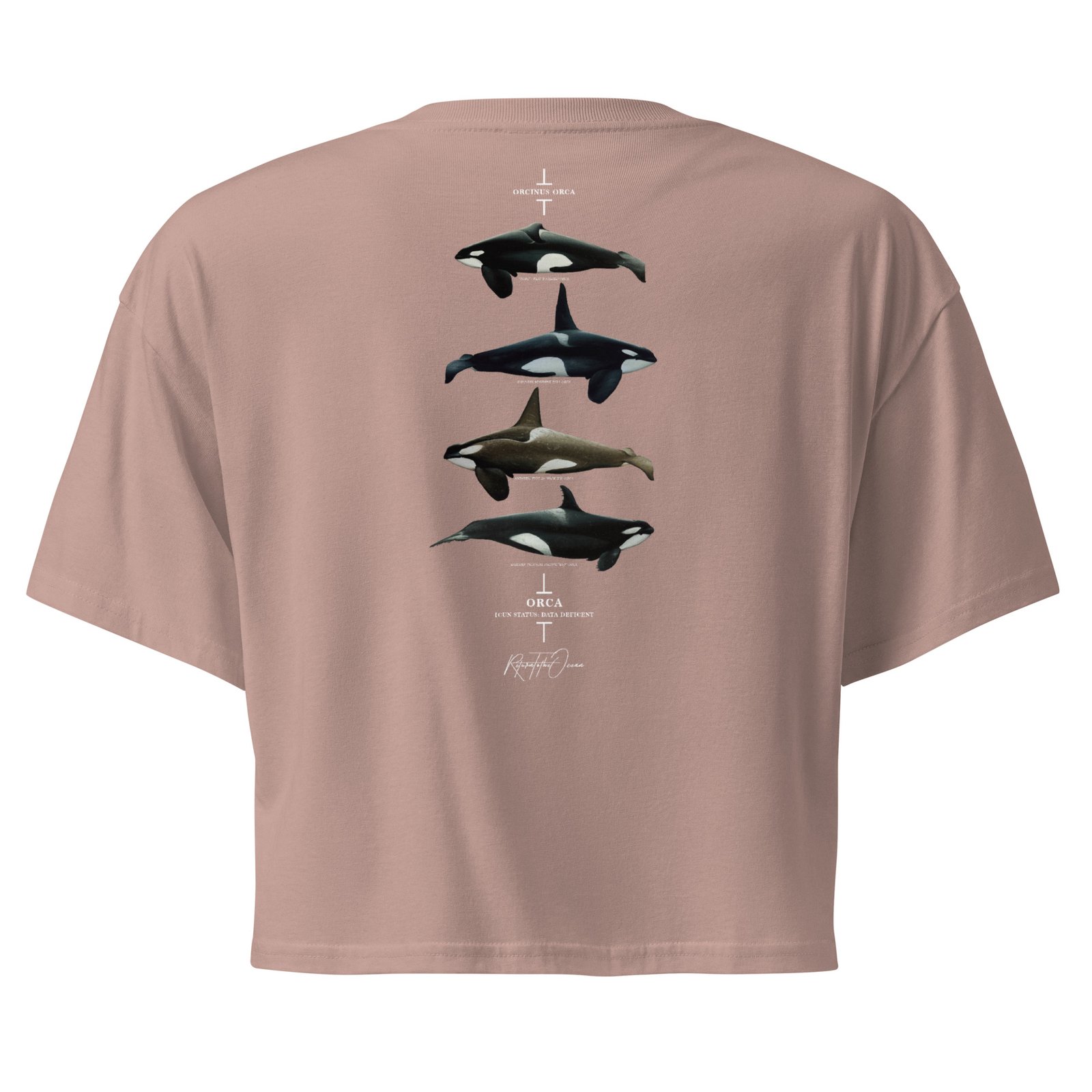 Orca Women’s crop top - Image 3