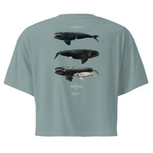 Right Whale Women’s Crop Top
