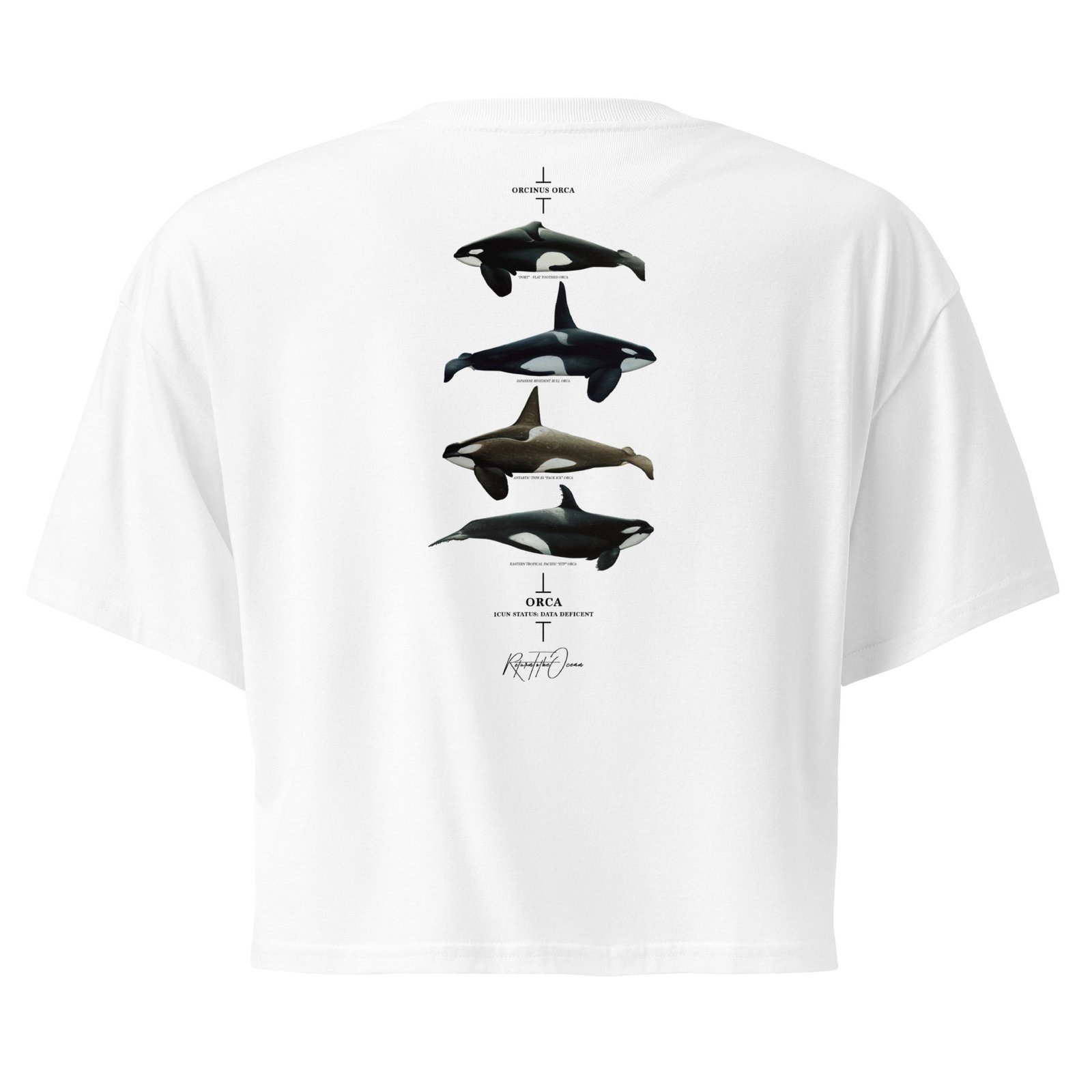 Orca Women’s crop top - Image 7