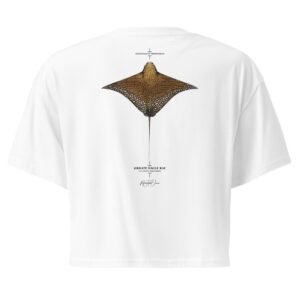 Ornate Eagle Ray Women’s crop top