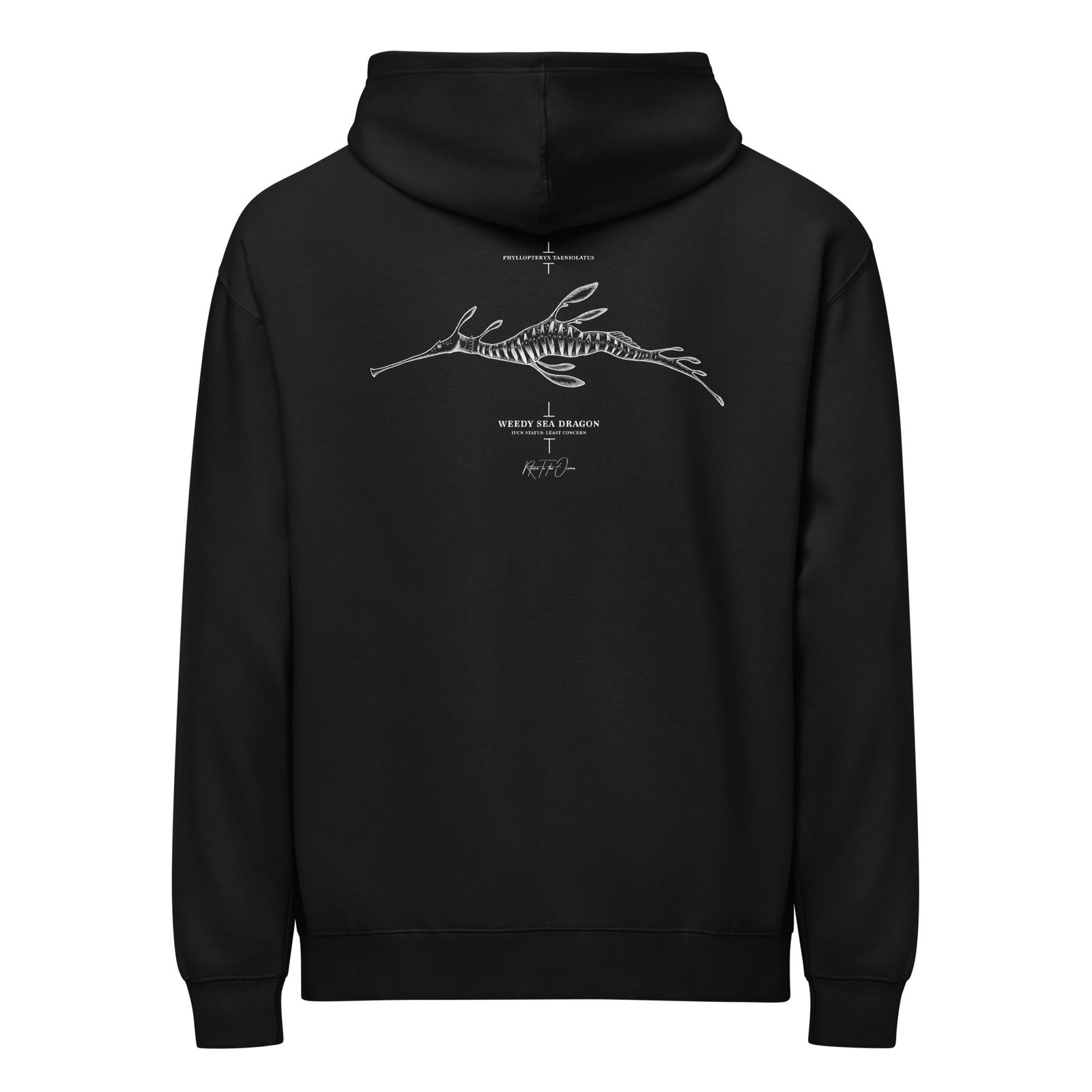 Weedy Seadragon box hoodie - Image 2