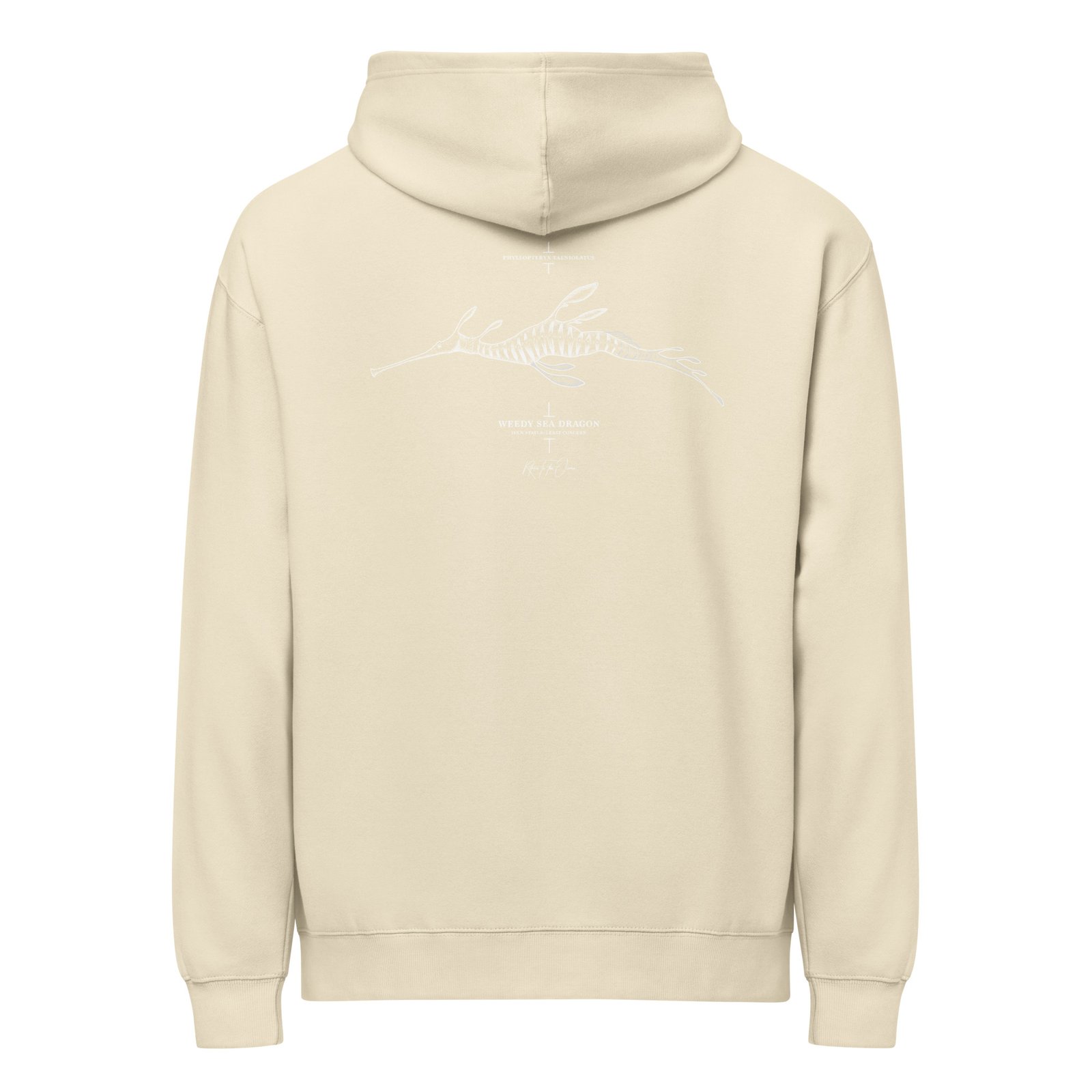 Weedy Seadragon box hoodie - Image 8