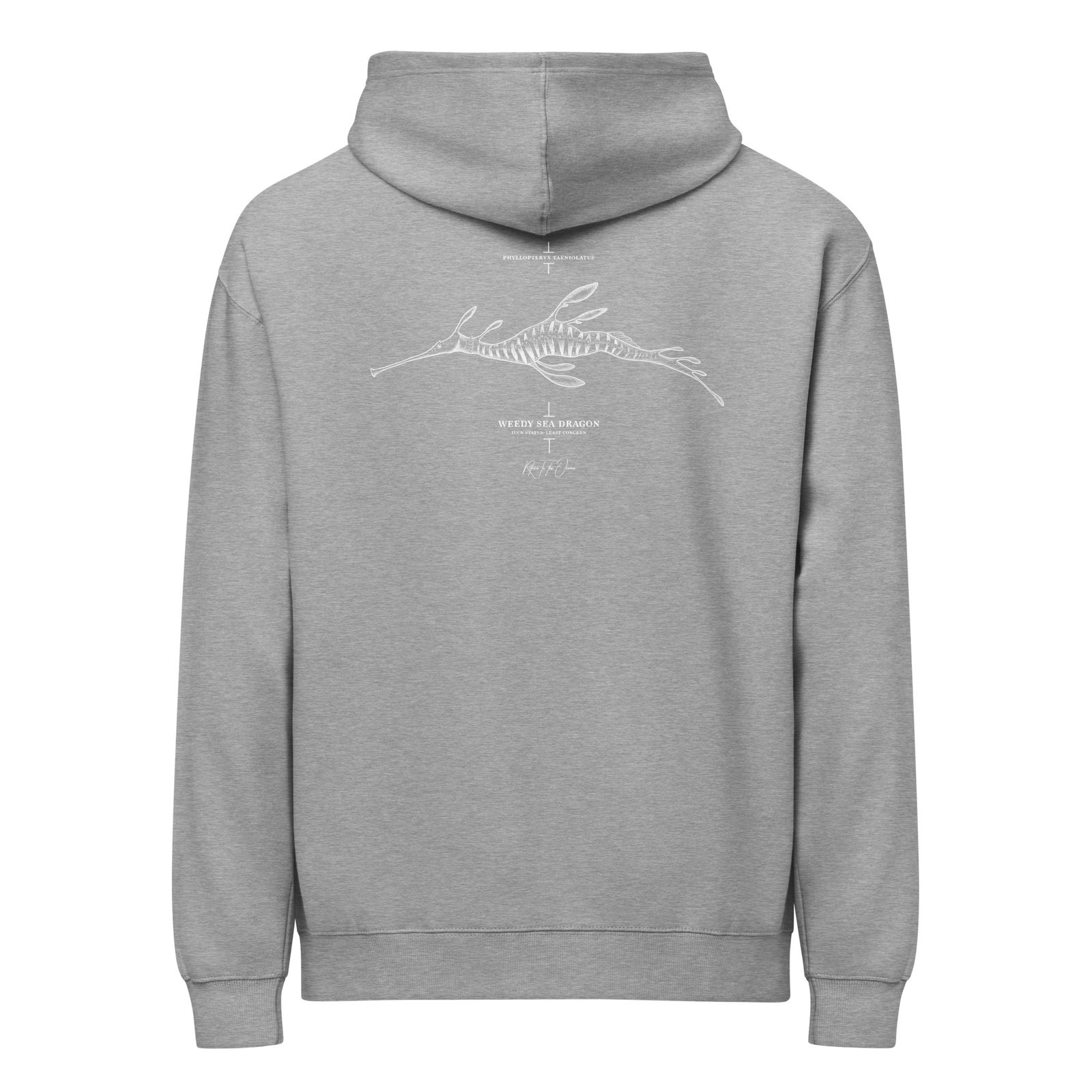 Weedy Seadragon box hoodie - Image 6