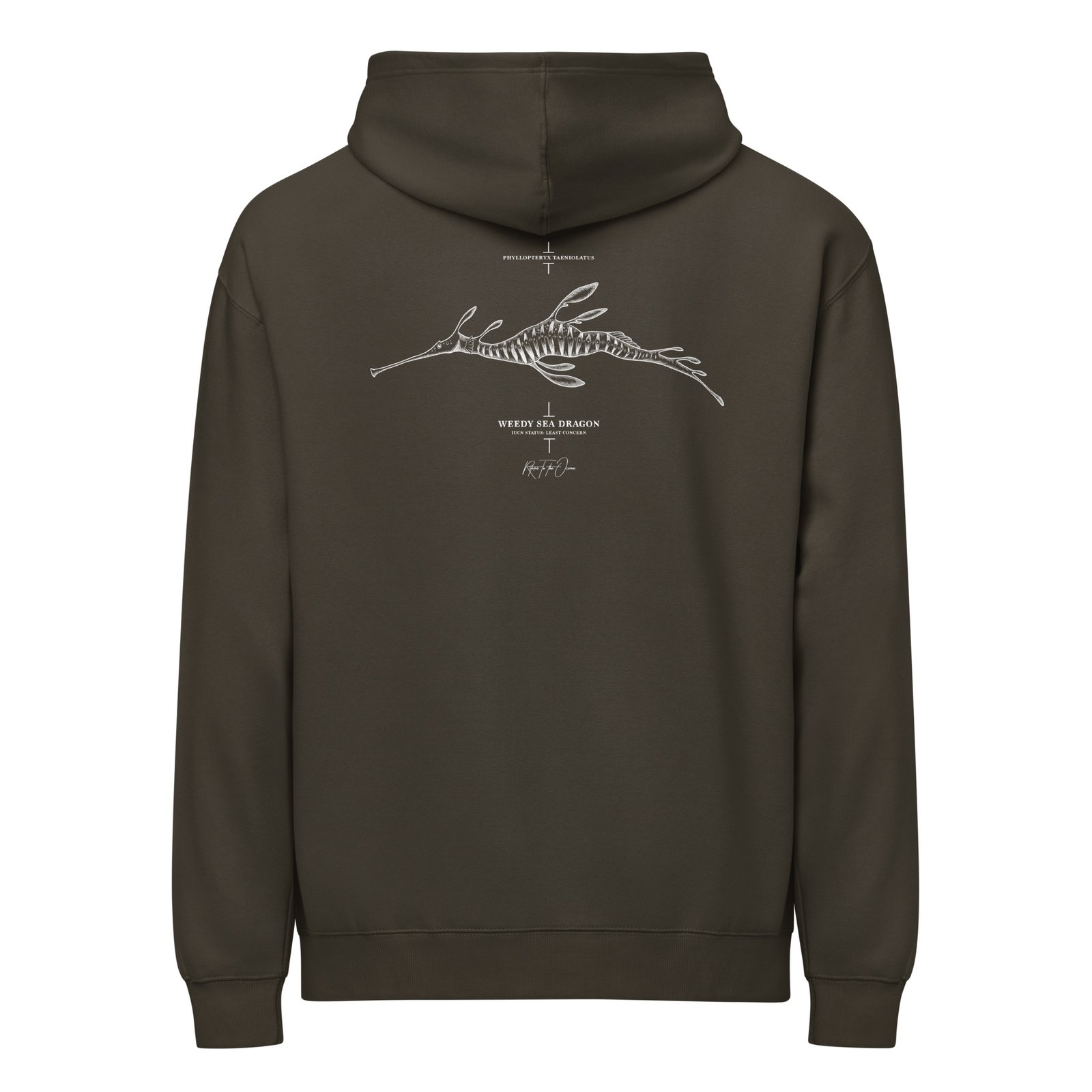 Weedy Seadragon box hoodie - Image 4