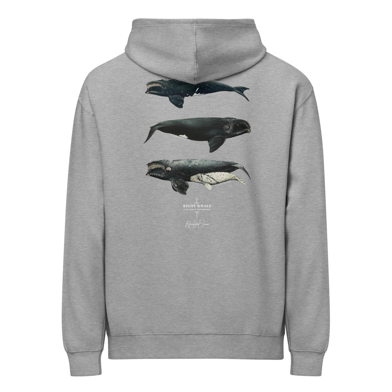 Right Whales box hoodie - Image 8
