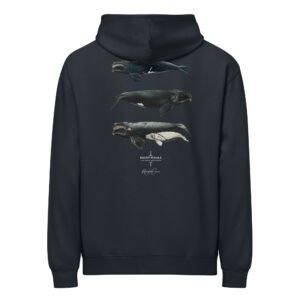 Right Whales box hoodie