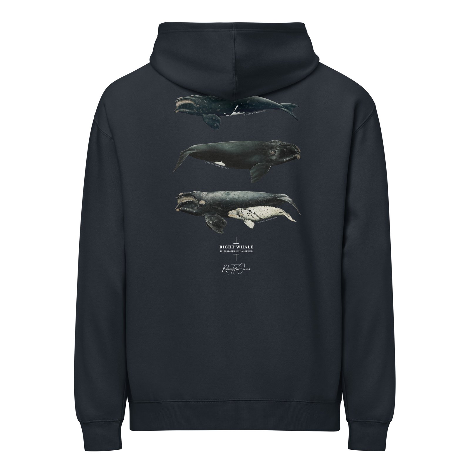 Right Whales box hoodie