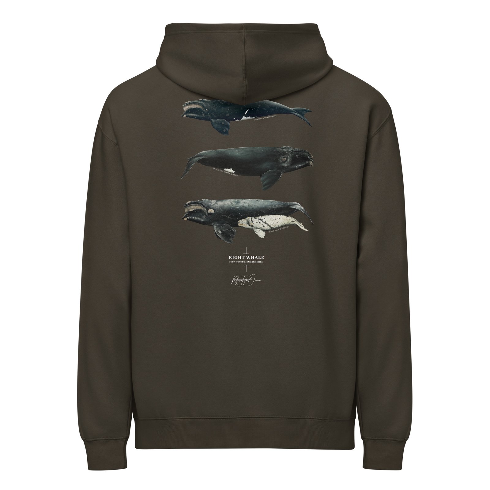 Right Whales box hoodie - Image 6
