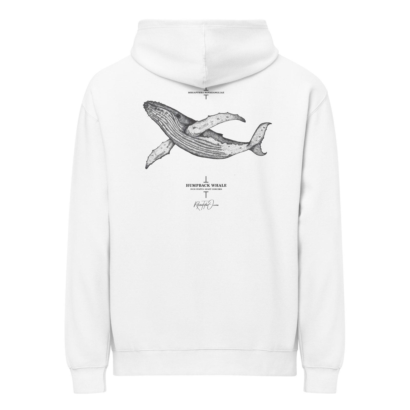 Humpback Whale box hoodie - Image 8