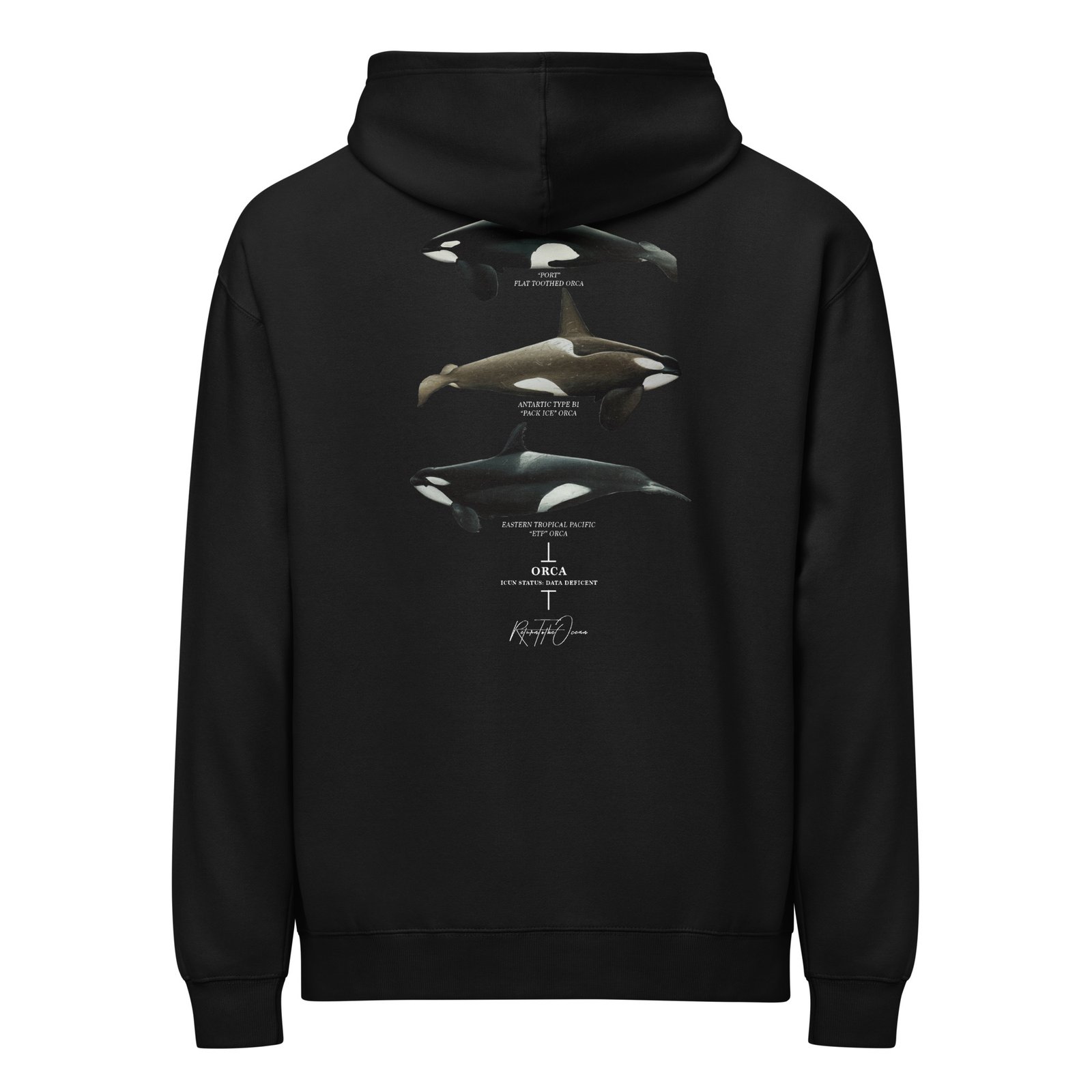 Orca Box Hoodie