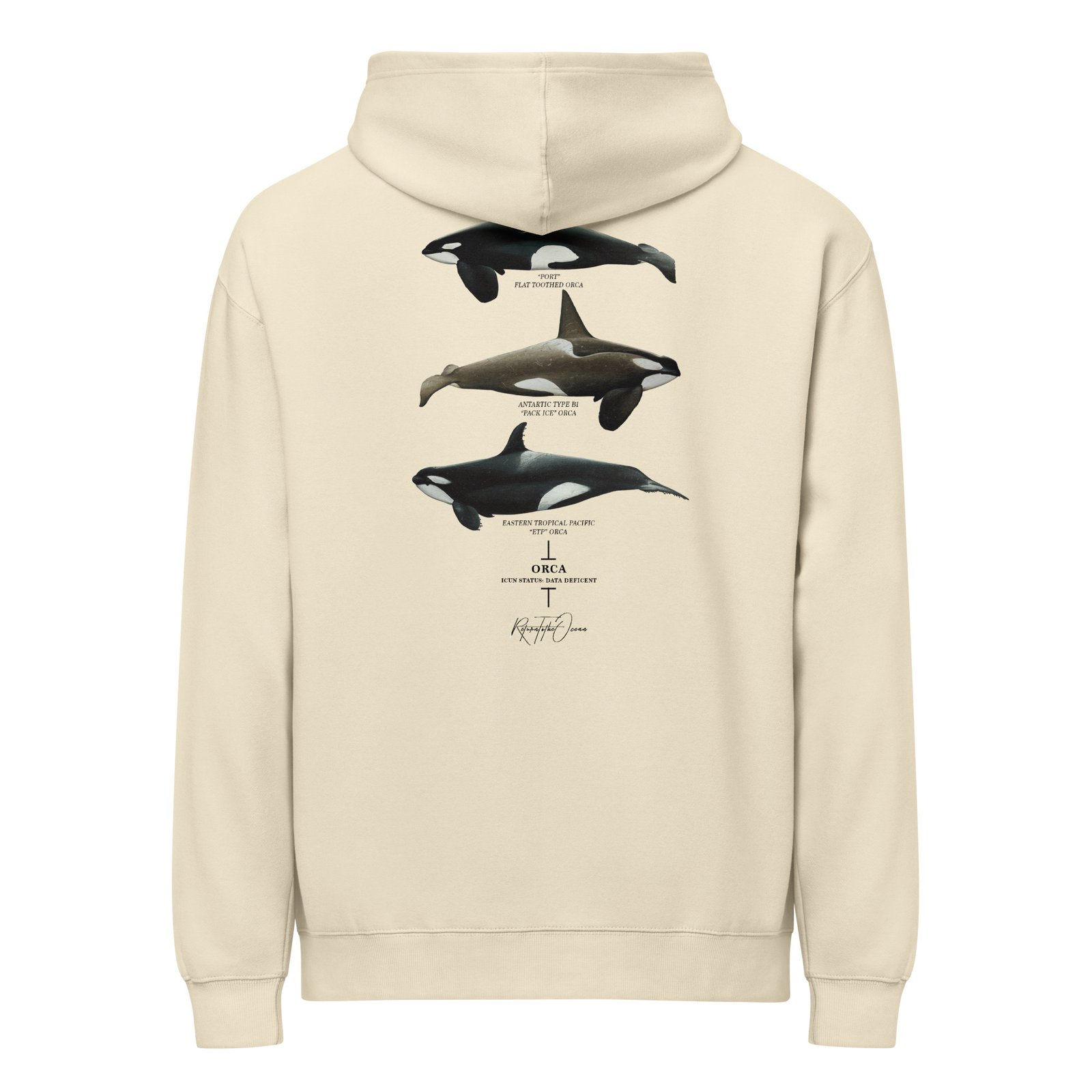 Orca Box Hoodie - Image 7