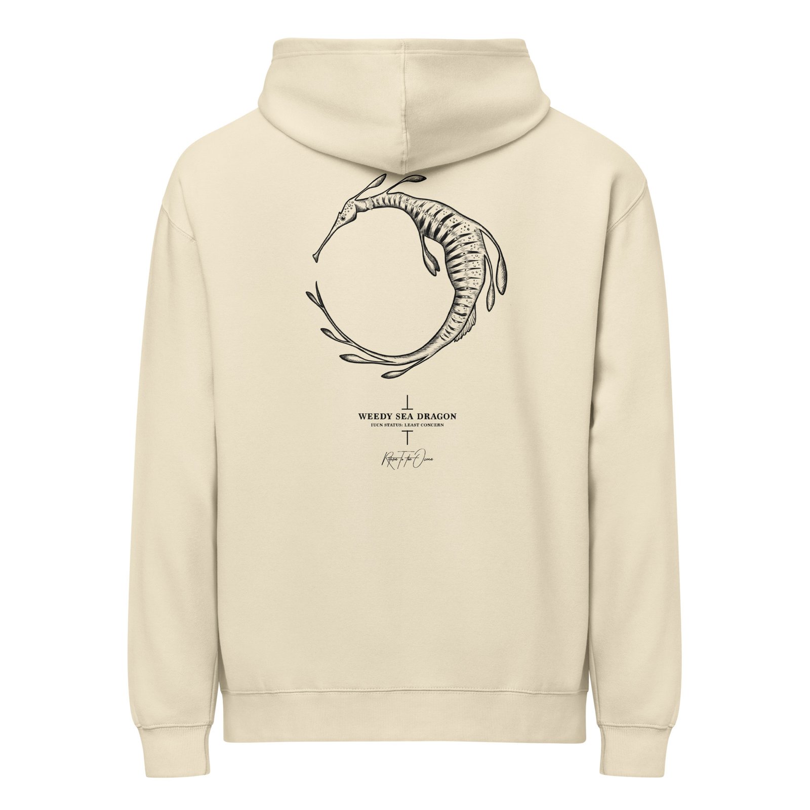 Weedy Seadragon Box Hoodie - Image 8
