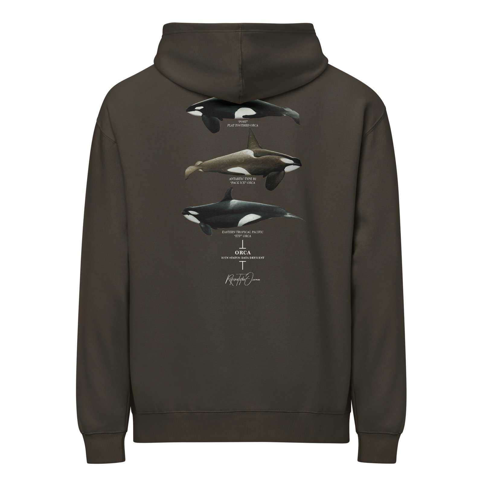 Orca Box Hoodie - Image 5