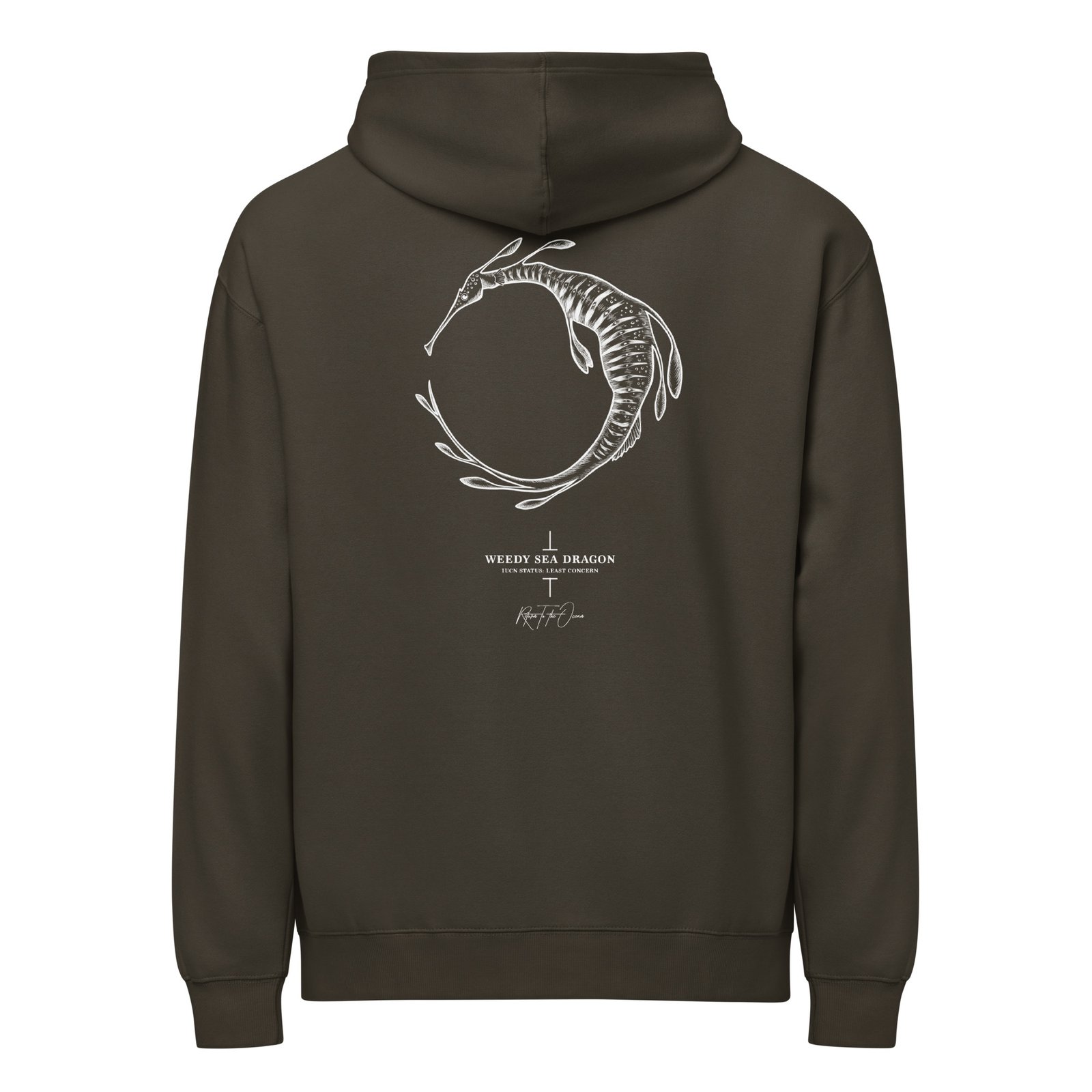 Weedy Seadragon Box Hoodie - Image 4