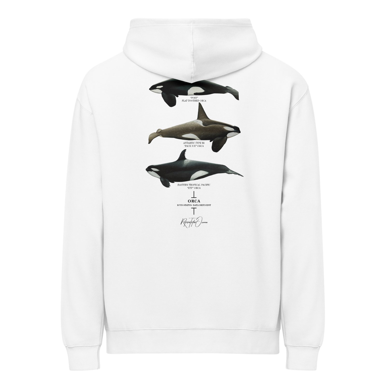 Orca Box Hoodie - Image 9
