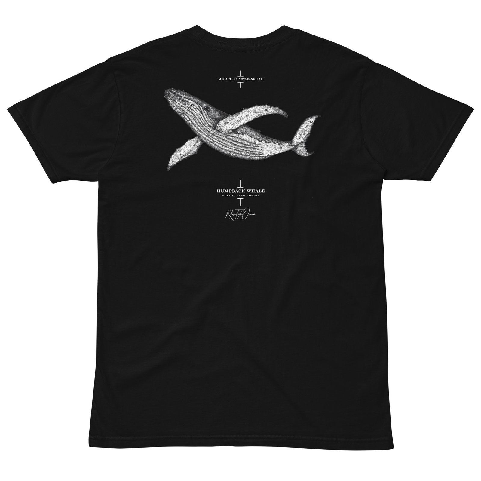 Humpback Whale T-Shirt - Image 4