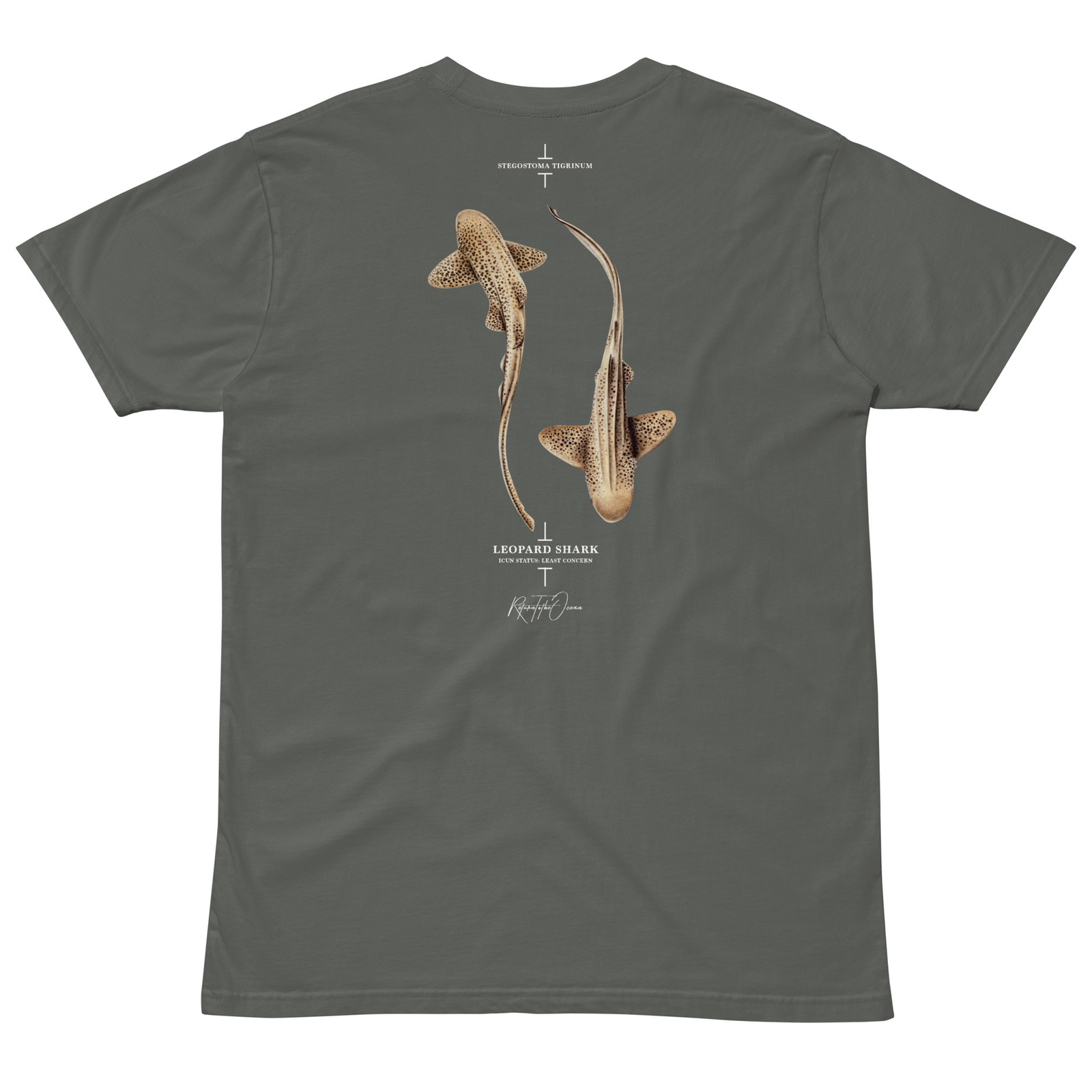Leopard Shark T-Shirt - Image 6