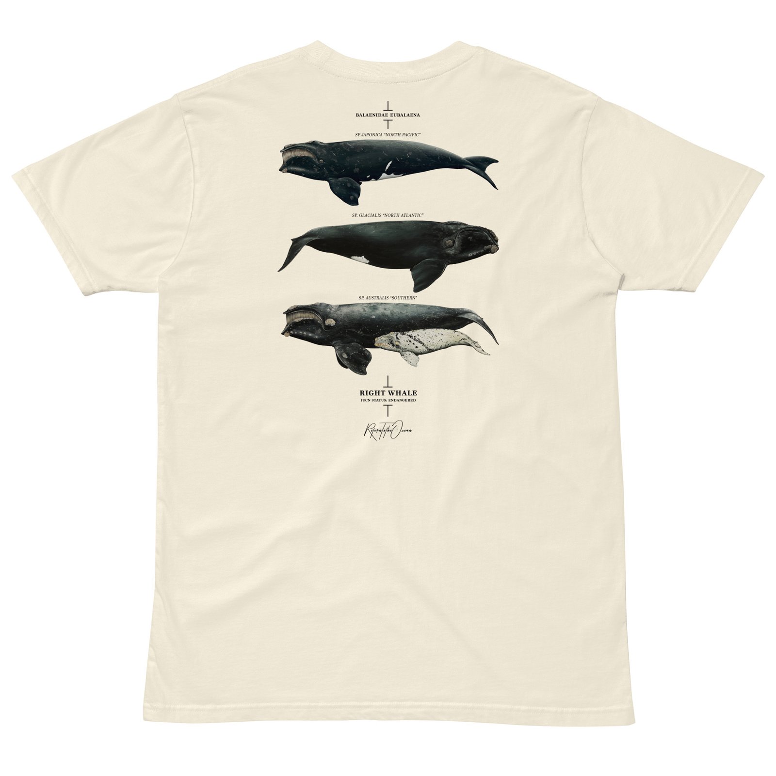 Right Whale T-Shirt - Image 12
