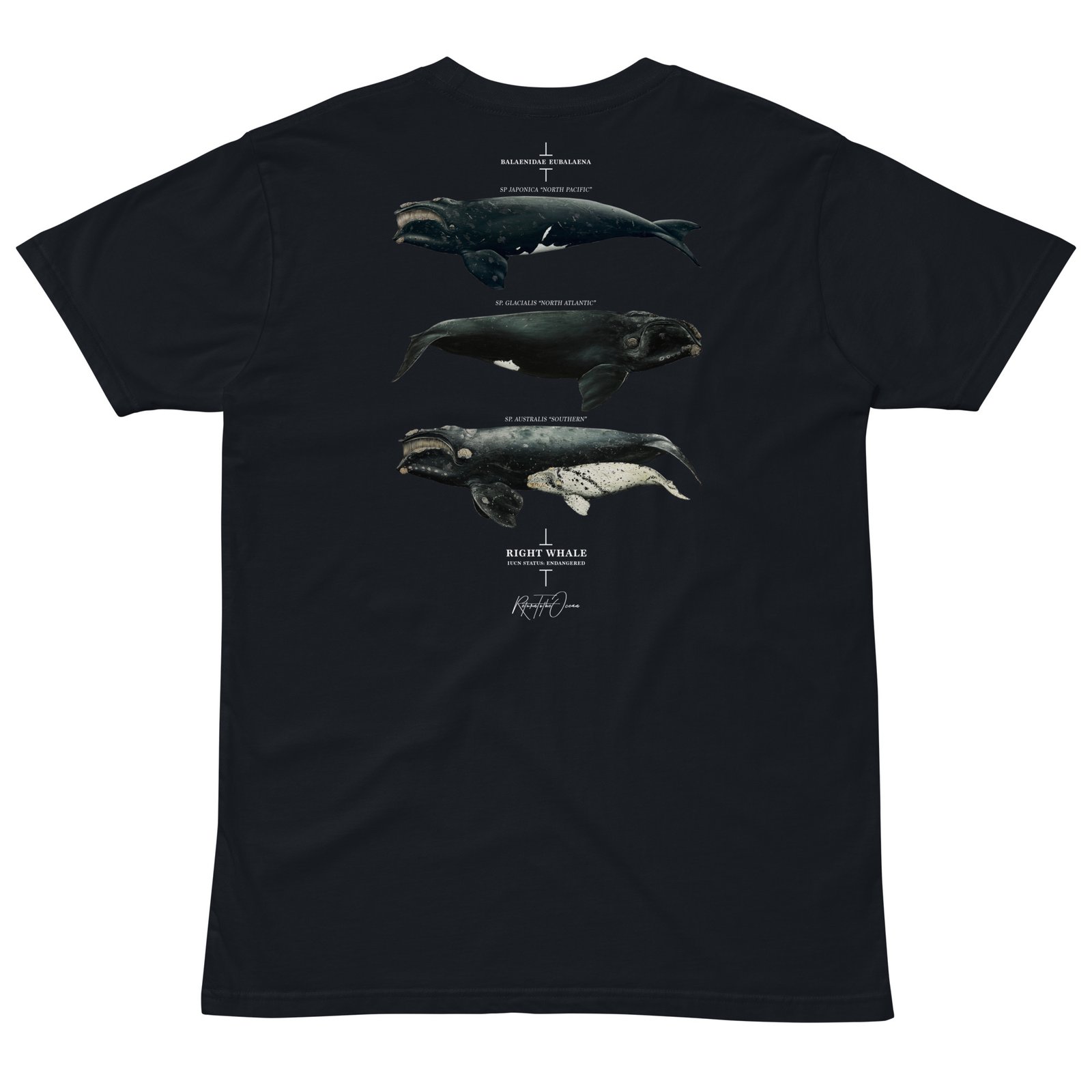 Right Whale T-Shirt - Image 5