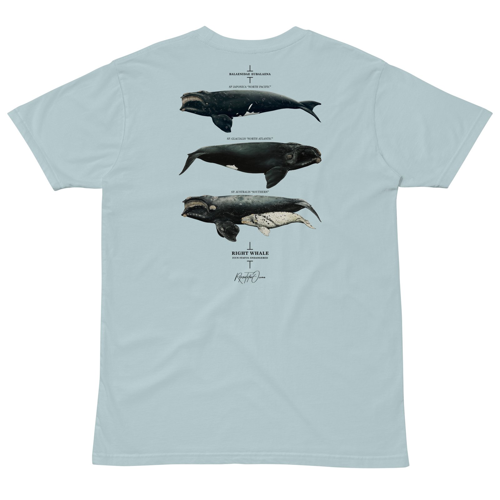 Right Whale T-Shirt - Image 10