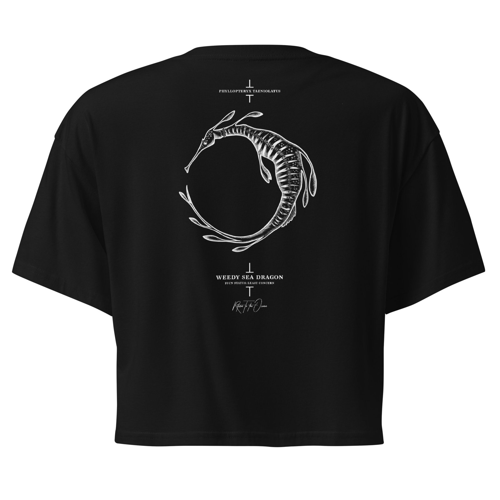 Weedy Sea Dragon Crop Top - Image 3