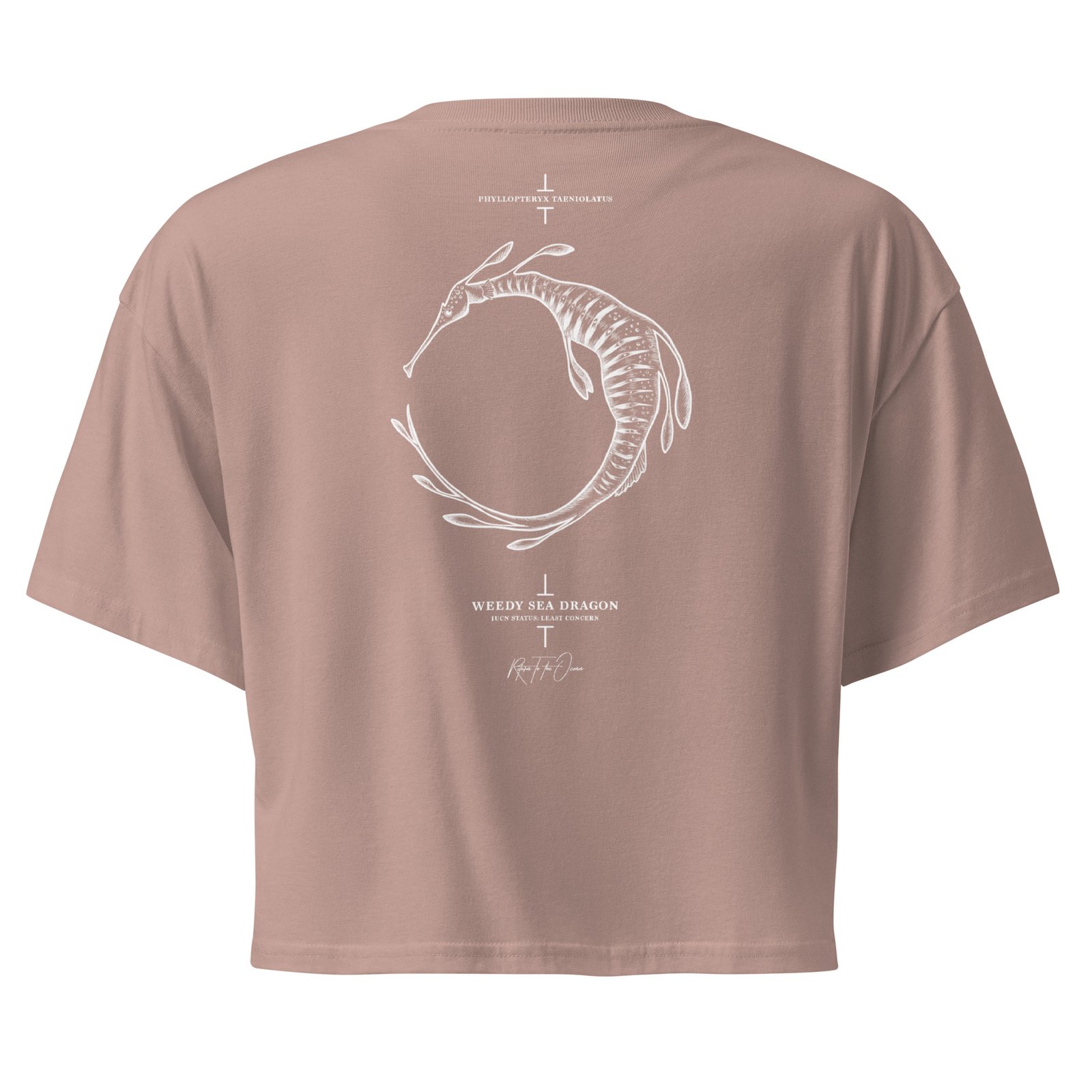 Weedy Sea Dragon Crop Top - Image 5