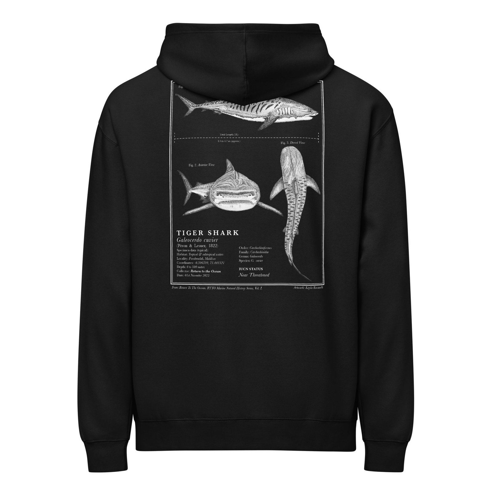 Tiger Shark Hoodie